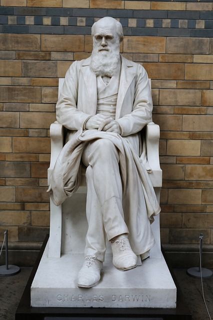 Charles Darwin, uno de los preculsores de las sillas ergonómicas